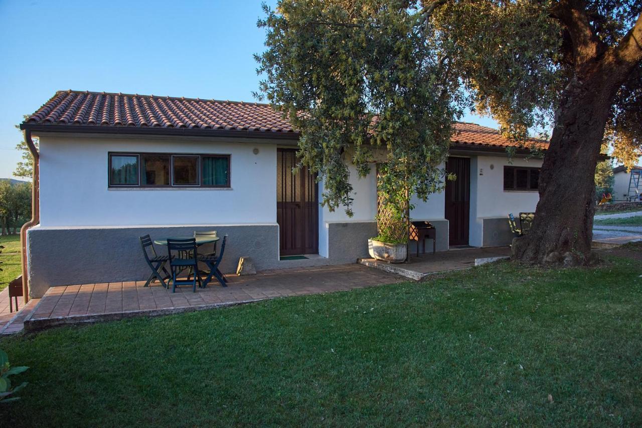 Agriturismo Tesorino Massa Marittima Εξωτερικό φωτογραφία