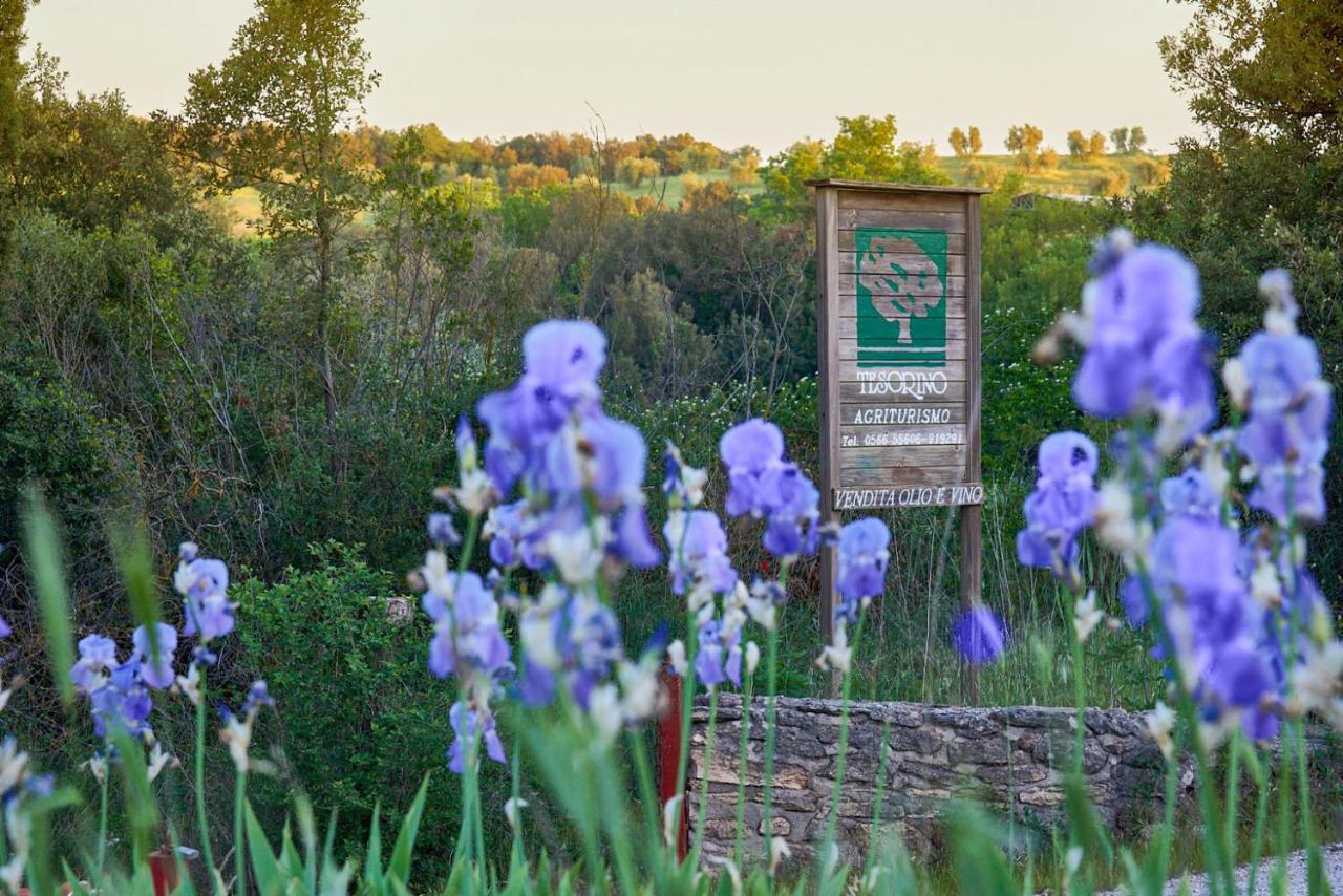Agriturismo Tesorino Massa Marittima Εξωτερικό φωτογραφία