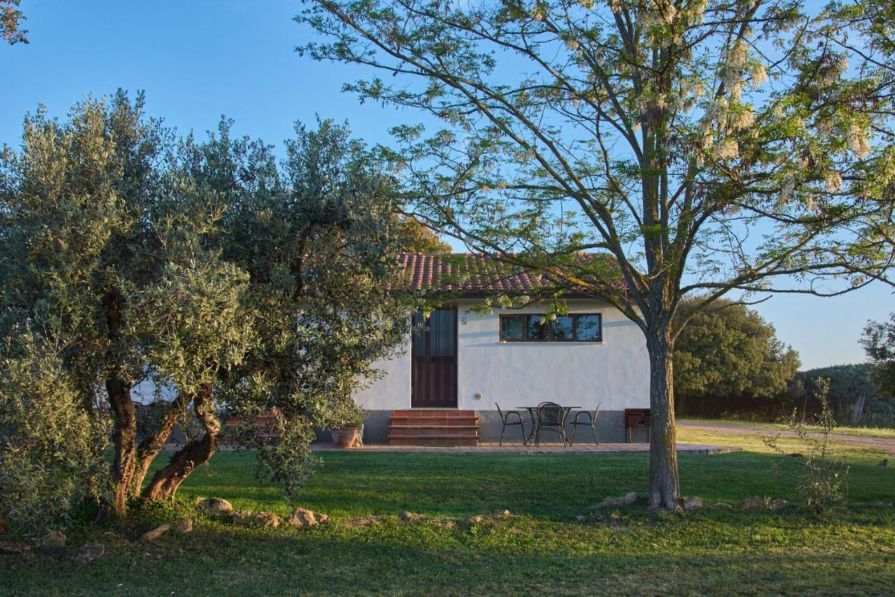 Agriturismo Tesorino Massa Marittima Εξωτερικό φωτογραφία