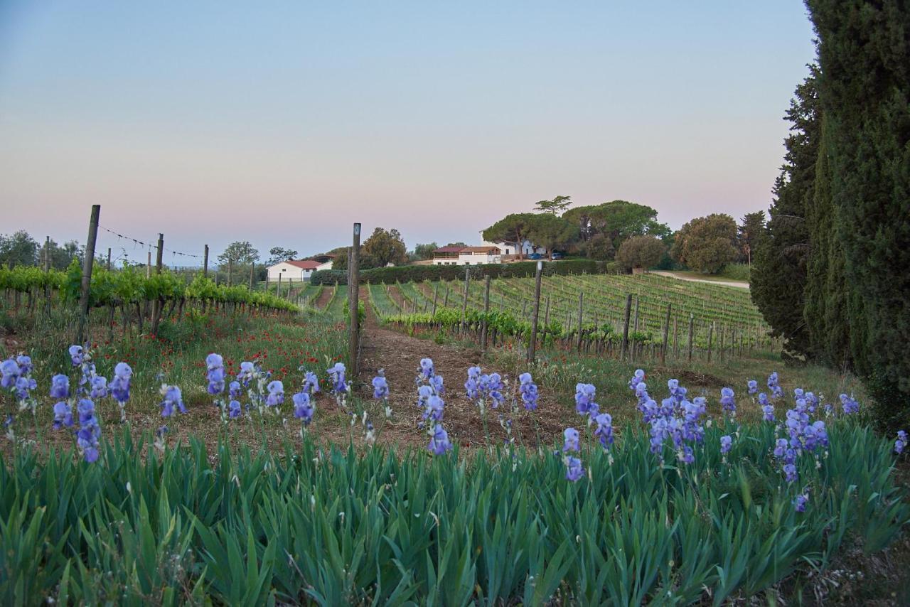 Agriturismo Tesorino Massa Marittima Εξωτερικό φωτογραφία