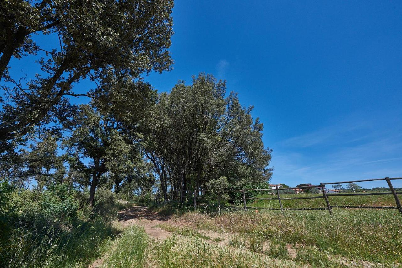 Agriturismo Tesorino Massa Marittima Εξωτερικό φωτογραφία