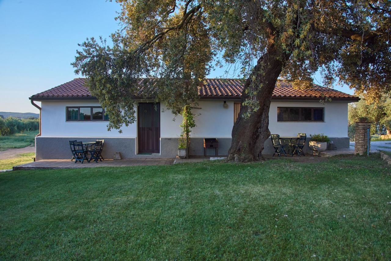 Agriturismo Tesorino Massa Marittima Εξωτερικό φωτογραφία