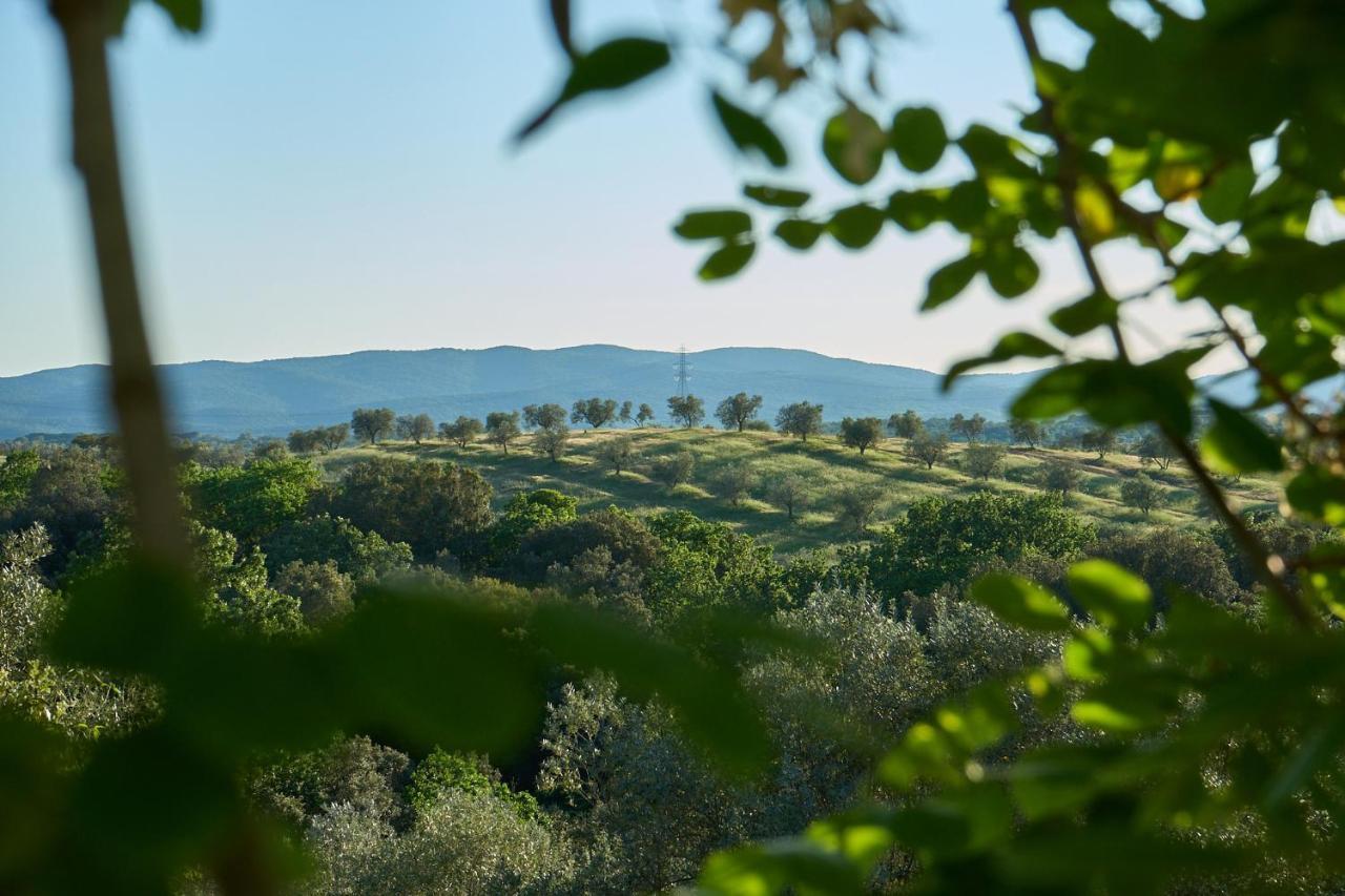 Agriturismo Tesorino Massa Marittima Εξωτερικό φωτογραφία